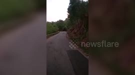 Elephant charges at bus, forces driver to drive 1km in reverse before returning back to jungle