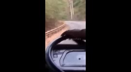Watch: Driver goes in reverse upto 1 KM as tusker chases bus down hill road in Chikmagalur