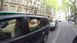 Bear-ly believable! Car full of giant teddies spotted on road in central Paris