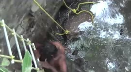 Indian forest officials save trapped deer from deep water tank