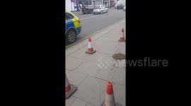 Police watch on as hundreds of bees swarm a pavement in Edgware, London