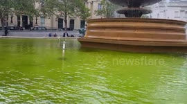 Trafalgar Square Fountains Covered in Algae