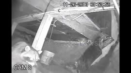 Raccoon takes nap, unplugs security camera