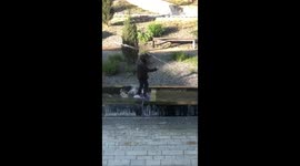 Drunk guy in Fountain