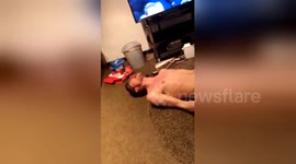 This is the most passionate reaction to Spurs' last-minute Champions League winner we've seen yet