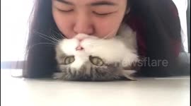 'Who's a pretty cat?' Kitty loves getting smooches from his owner