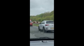 Cow stampede blocks UK A30