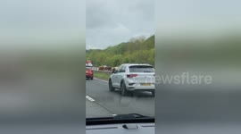 Newsflare Edit - Cow stampede on the A30 Devon!