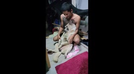 Dog plays dead to avoid the shower