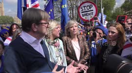 MEP Guy Verhofstadt joins anti-Brexit supporters in London