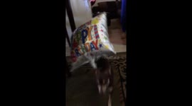 My birthday not yours