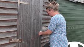 Garden shed collapses