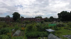 Drone over allotment gardens