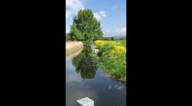Idyllic Somerset countryside polluted by plastic waste