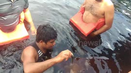 Pinscher aprontando todos os dias , pensa em um cachorro sapeca é esse, está comigo a alguns anos , faz parte da minha vida !!! AMO DE +