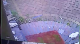 Neighbour from Hell Criminal Damage?