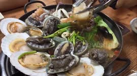 Eating Live Abalone Hot Pot