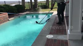 US holidaymakers find alligator in swimming pool of rental house in North Carolina