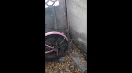 Cobra Caught Behind Girl’s Bike