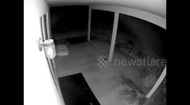 Over-excited pup slams into glass door at Arizona home