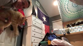 This feline loves being 'cat-apulted' onto his owner's bed