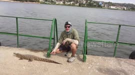Patting a wild baby Nile Crocodile on Lake Victoria, Tanzania
