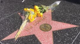 Tim Conway Star on Hollywood Walk Of Fame.