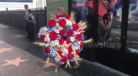 Tim Conway Star on Hollywood wall of Fame. With flowers.