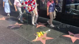 Tim Conway Star on Hollywood Walk Of Fame.