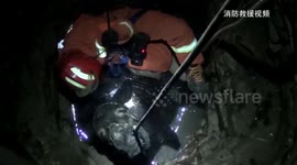 'Hee-haul him out!' Firefighters rescue 350kg donkey trapped in well