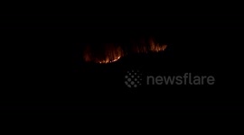 Massive wildfires raze hectares of forest lands in northern India