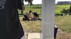 US holidaymakers find alligator in swimming pool of rental house in North Carolina part 2