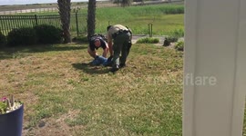 US holidaymakers find alligator in swimming pool of rental house in North Carolina part 3