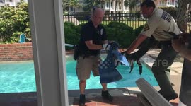 US holidaymakers find alligator in swimming pool of rental house in North Carolina