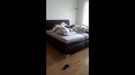 Knock knock who is there?