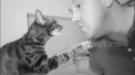 #catmendo cat and man cuddle affectionate