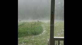 Scared pup whines as hail batters US home