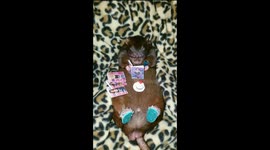 Rat drinks Cosmopolitan while reading Cosmopolitan