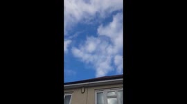 Swarm of Flies in sky outside UK Home
