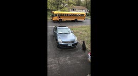 Boy greeted by excited puppy from the bus!