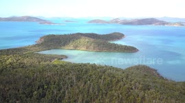 Beautiful Aerial Drone Footage South Molle Daydream Island Whitsunday Island