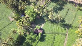 Aerial View from above of Beautiful lush rice fields in Amed (Bali, Indonesia)