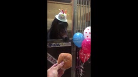 When it’s your 23rd birthday and donuts are your favourite!