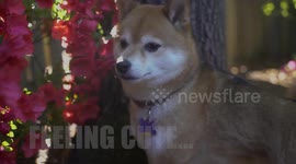 Feeling Cute, Think I'll....IDK