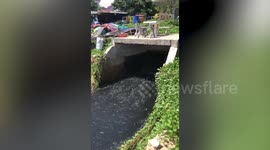 Human waste turns waters of Thai beach BLACK with pollution