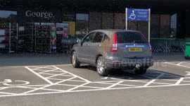 Parked car swarmed by bees outside UK supermarket