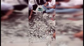 Chinese man uses 66 bags of coins to pay for car