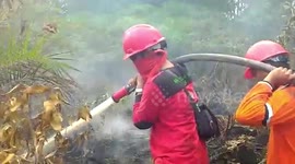 Smog from Indonesian wildfires causes air pollution in neighbouring countries
