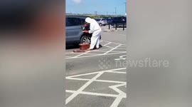 Beekeeper removes swarm from vehicle in a UK supermarket car park