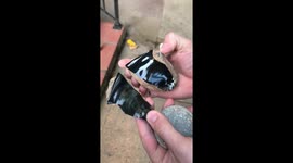 Stunning look inside an obsidian rock revealed as it is cracked open